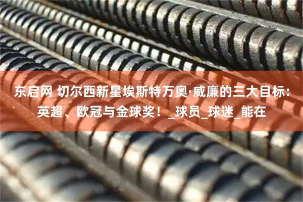 东启网 切尔西新星埃斯特万奥·威廉的三大目标：英超、欧冠与金球奖！_球员_球迷_能在