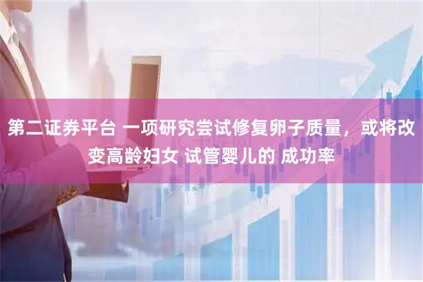 第二证券平台 一项研究尝试修复卵子质量，或将改变高龄妇女 试管婴儿的 成功率