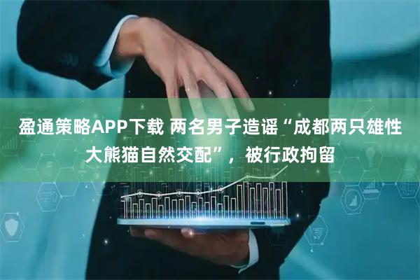 盈通策略APP下载 两名男子造谣“成都两只雄性大熊猫自然交配”，被行政拘留