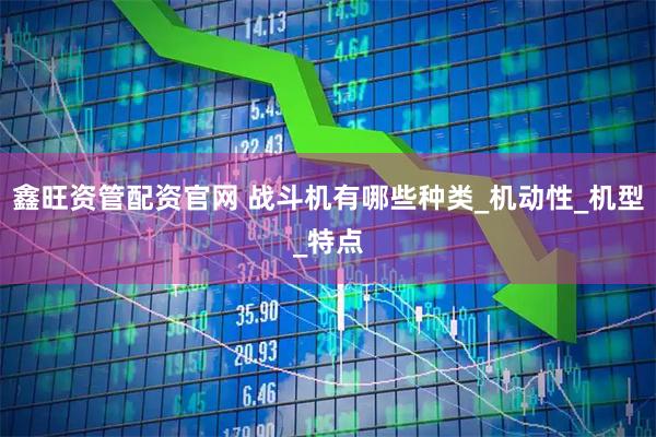 鑫旺资管配资官网 战斗机有哪些种类_机动性_机型_特点