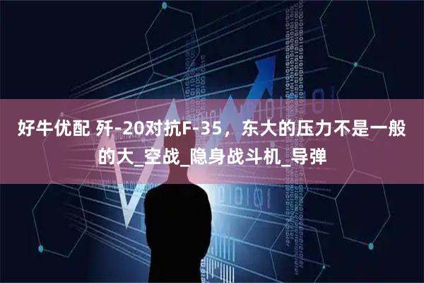 好牛优配 歼-20对抗F-35，东大的压力不是一般的大_空战_隐身战斗机_导弹