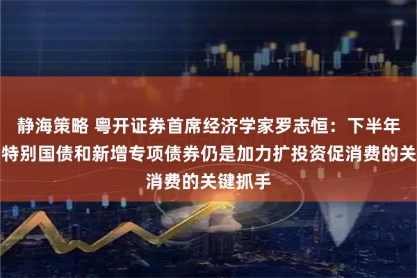 静海策略 粤开证券首席经济学家罗志恒：下半年超长期特别国债和新增专项债券仍是加力扩投资促消费的关键抓手